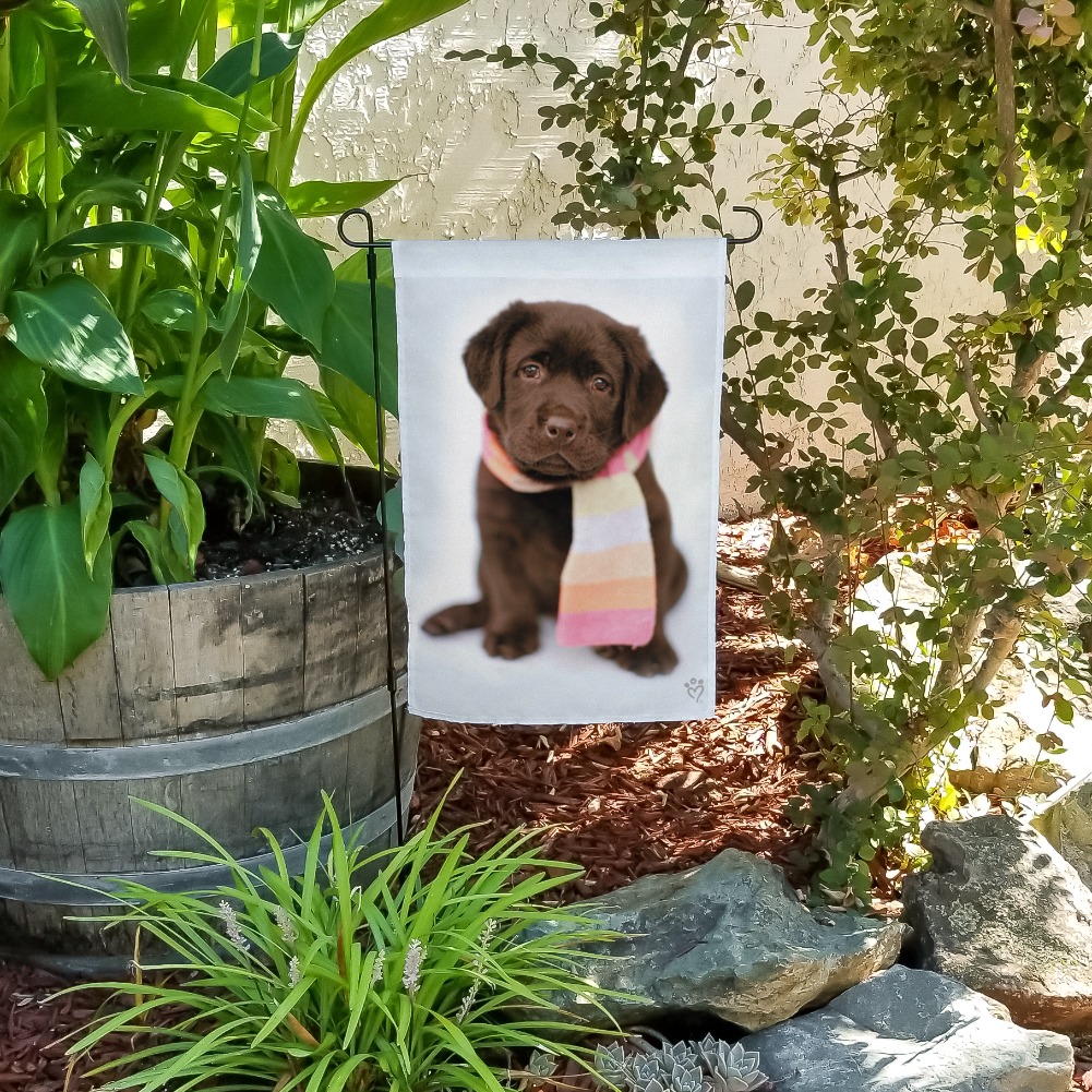 Lab Labrador Puppy Dog Wearing Scarf Garden Yard Flag