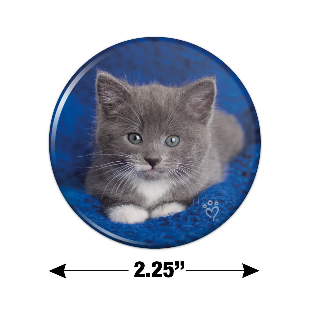 I Love My Russian Blue Cat Refrigerator Car Locker Fun MAGNET Made USA cats