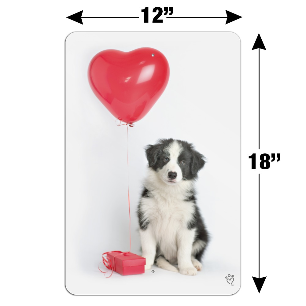 LOVE IS heart BEING OWNED by a BORDER COLLIE dog SIGN magnet puppy MADE IN USA