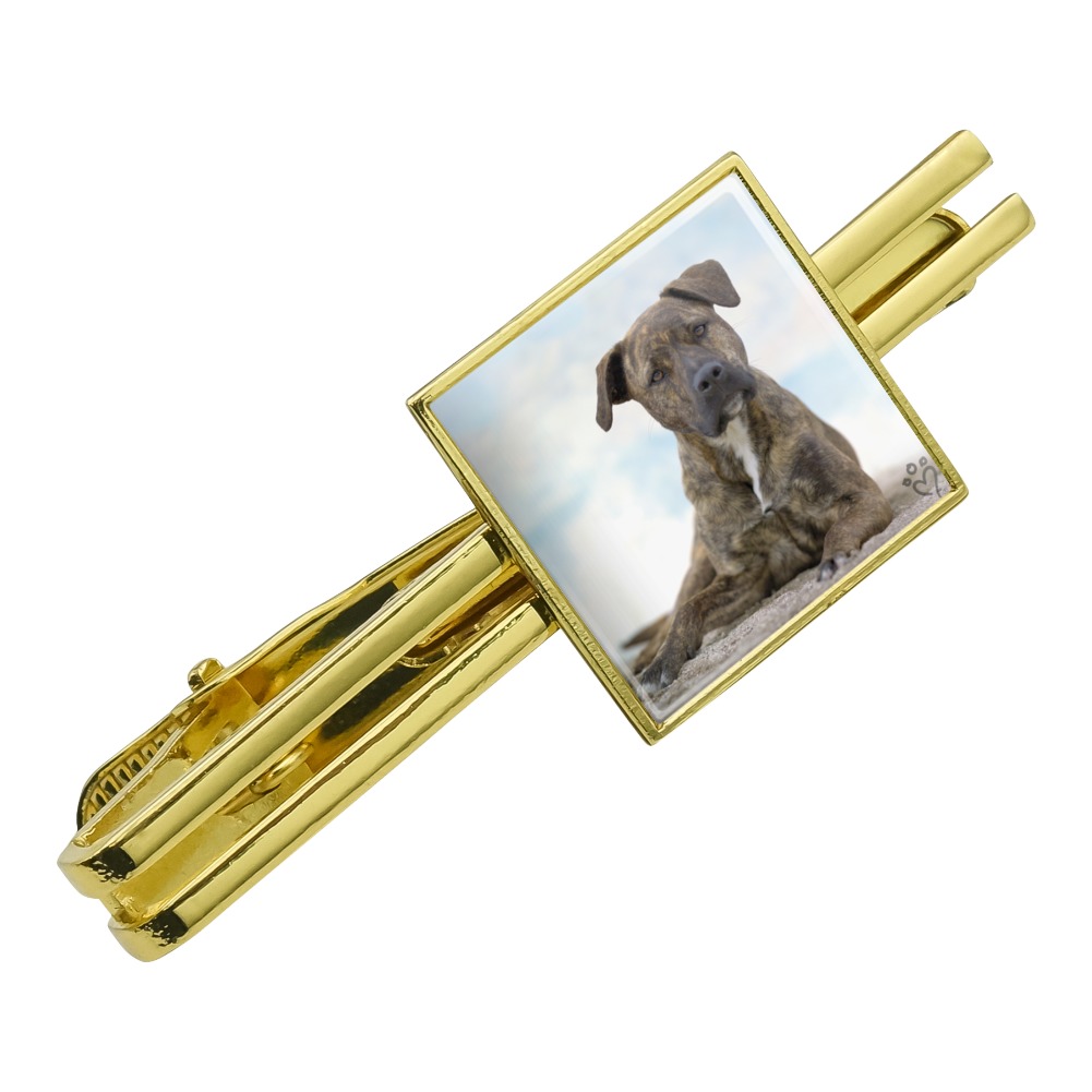Graphics and More Staffy Staffordshire Bull Terrier Dog Sandy Beach Square Tie Bar Clip Clasp Tack Silver or Gold 